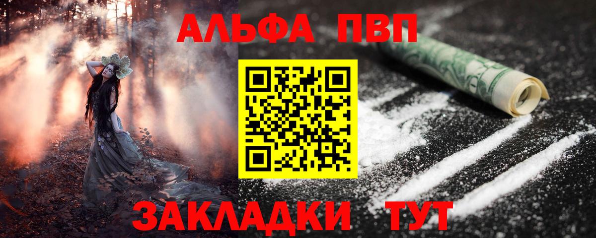 A PVP СК Новосибирск