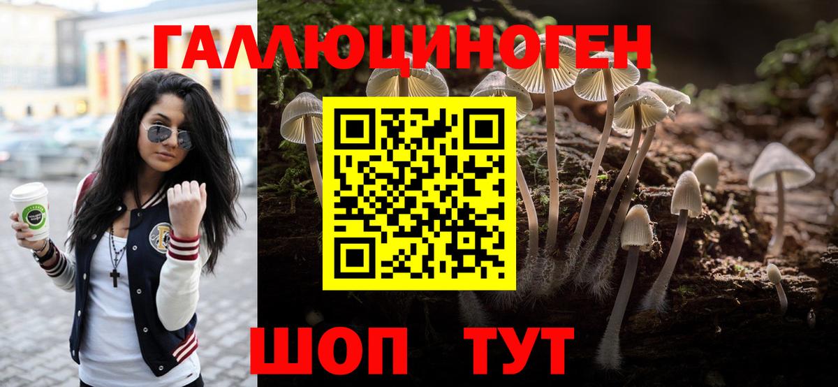 Бошки Шишки Новосибирск