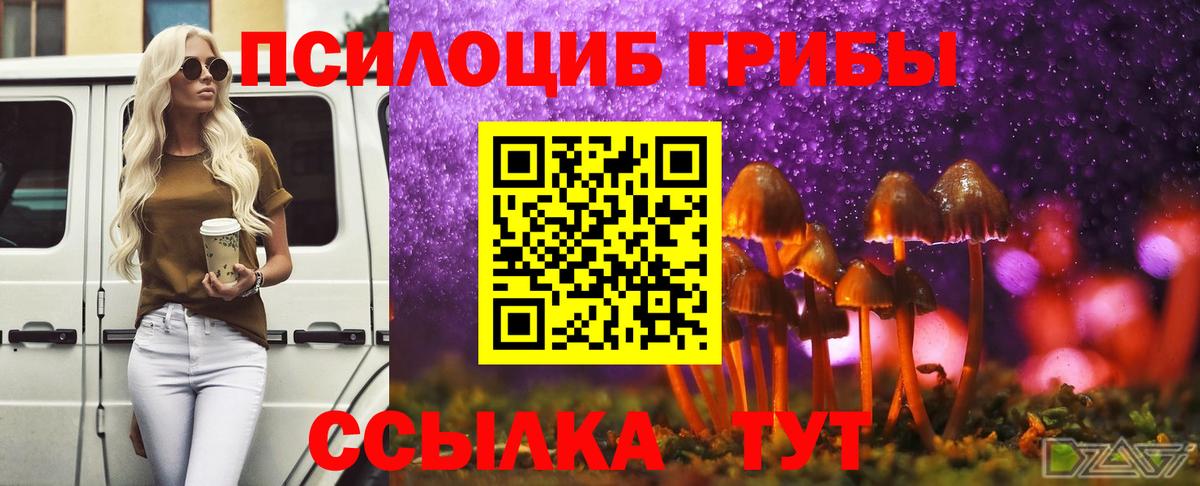 Галлюциногенные грибы GOLDEN TEACHER Новосибирск